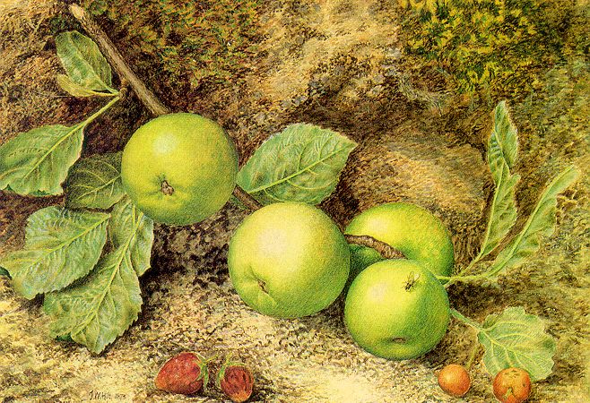 Still Life with Fruit and Fly